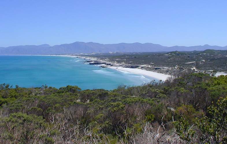 Nature Reserve Gansbaai, Western Cape, South (Location)